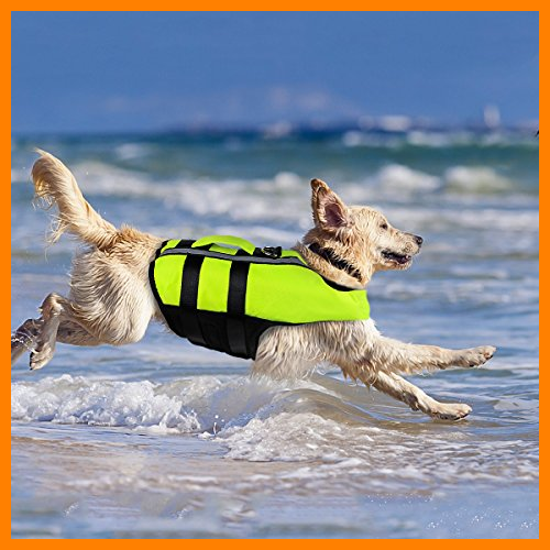 【 Mejor precio en oferta de 】✔️️ Namsan Chaleco Salvavidas para Perros Chaleco Reflectante para Mascotas con Ajustable Seguridad Natación Chaleco para Grande Perro-L