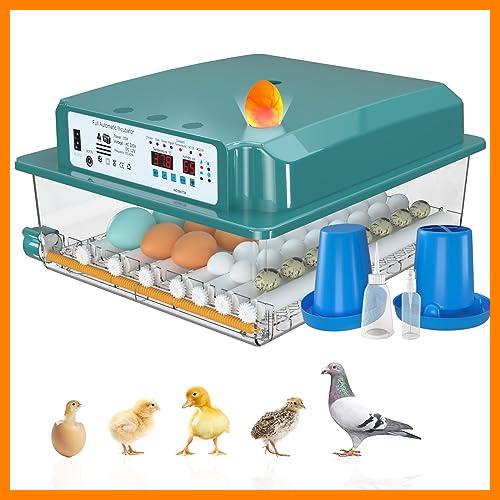 【 Mejor precio en oferta de 】✔️ TDUAOLGX Incubadoras de Huevos Automaticas, Incubadora Huevos Gallina Automatica, Incubadoras de 24-36 Huevos Automáticas, Incubadora de Huevos con Temperatura Ajustable y Monitoreo de Humedad